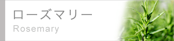 ローズマリー