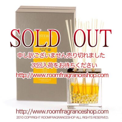 エステバン(ESTEBAN) アンバー(ambre) コフレラタンブーケ リードディフューザー 250ml